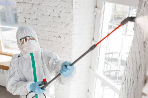 Best Commercial Mold Inspection  in Lauderhill, FL