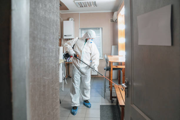 Best Attic Mold Removal  in Lauderhill, FL