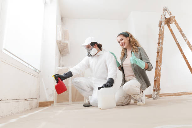 Best Post-Construction Mold Inspection  in Lauderhill, FL